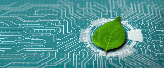 Photo green leaf on the converging point of computer circuit board