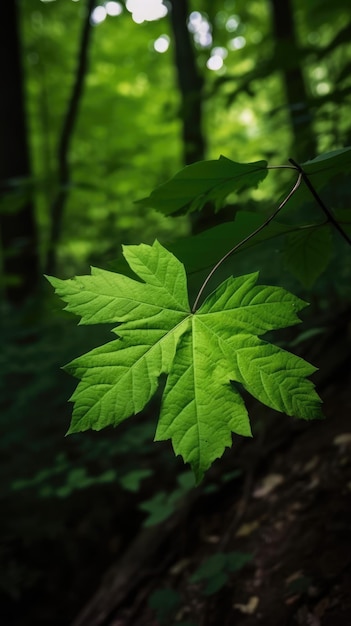 Green leaf in the forest generative ai