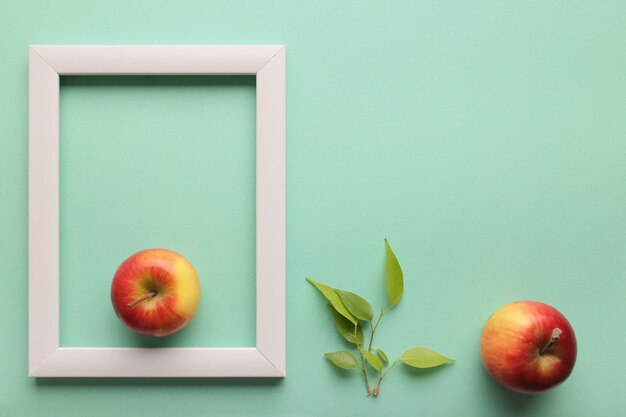 Green leaf in a frame