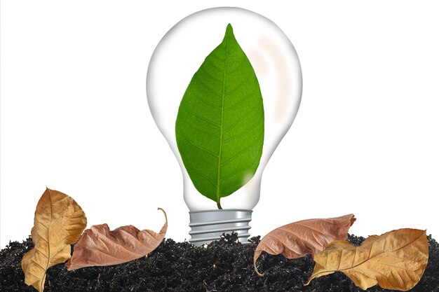 Green leaf growing in light bulb on background.