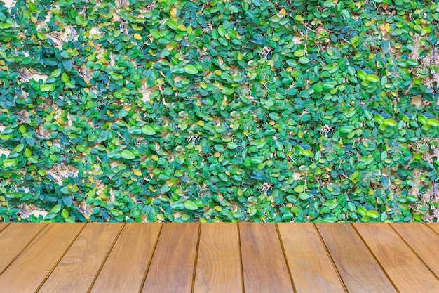 Foto foglia verde lussureggiante con sfondo tavolo in legno.