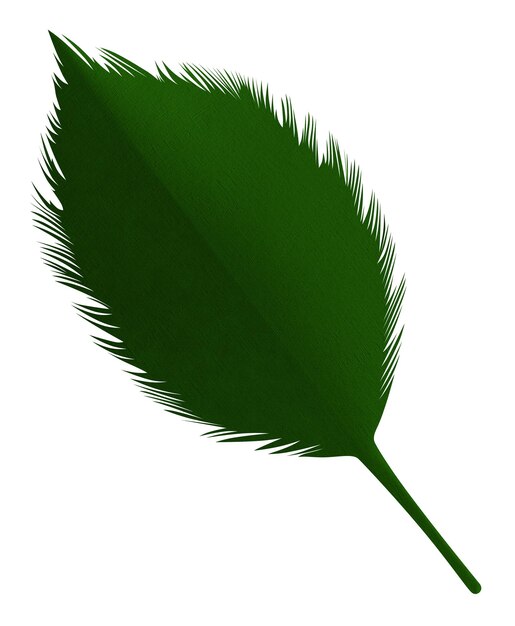 Green leaf made of paper