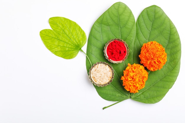 green leaf and marigold flower