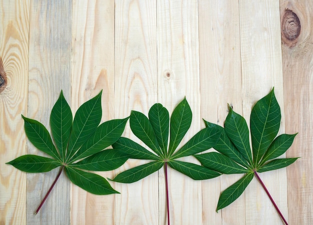 Green leaf nature on wooden table background top view