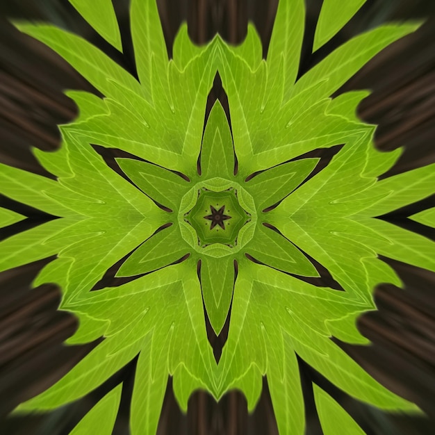 A green leaf pattern with the word forest on it.