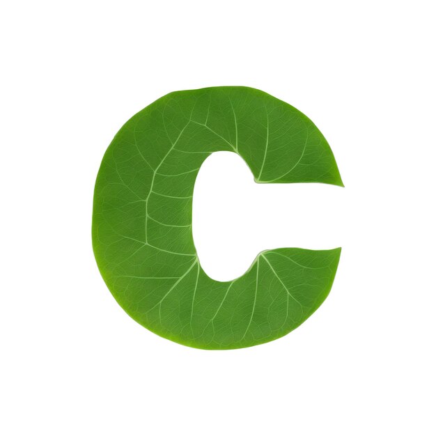 사진 녹색 잎 타이포그래피 텍스트 디자인 소문자 알파 c