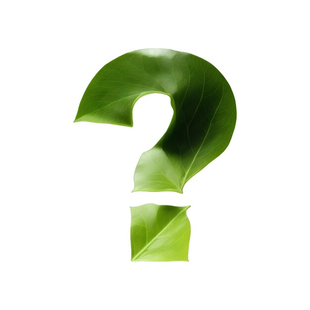 Green leaf typography text design question mark