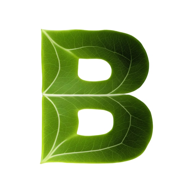Green leaf typography text design uppercase alphabet B