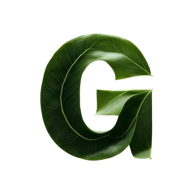 Foto tipografia a foglia verde disegno di testo in maiuscolo alfabeto g