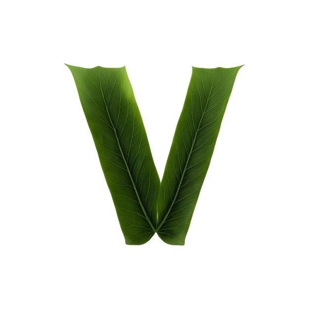 Green leaf typography text design uppercase alphabet V