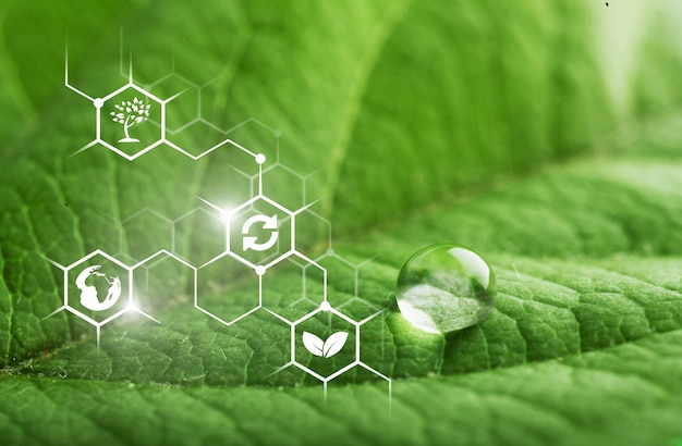 green leaf with biochemical structure