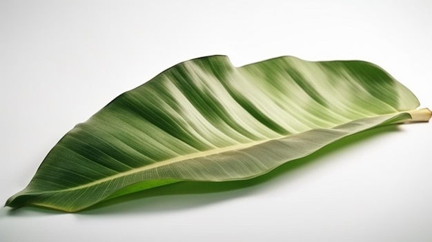 A green leaf with the word banana on it