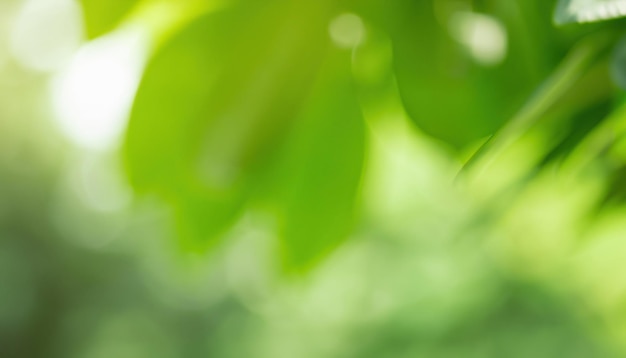 A green leaf with the word green on it