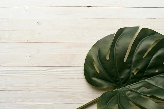 Green leaf wood background texture wall closeup