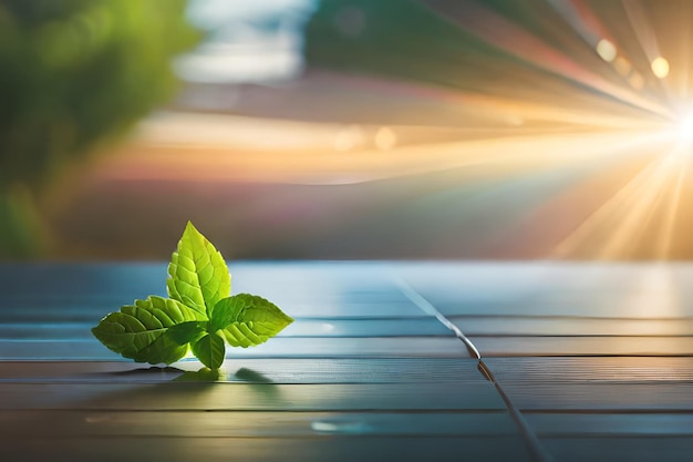 A green leaf on a wooden table with a blurred background of sunlight