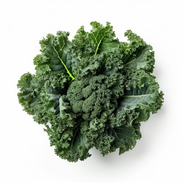 Photo a green leafy vegetable with the word kale on it