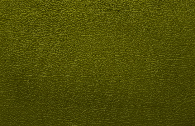 Photo green leather texture