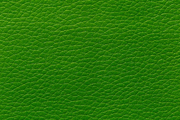 Photo green leather and a textured background