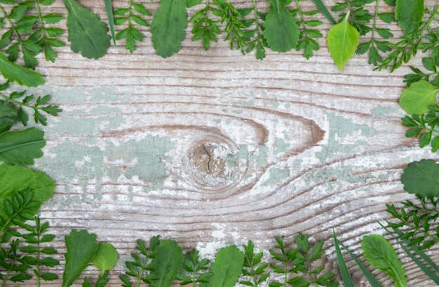 写真 古い木製の背景に緑の葉と草