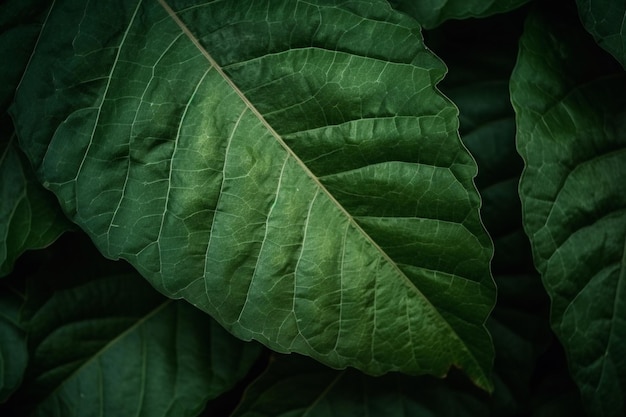 Green Leaves Background Ai generative