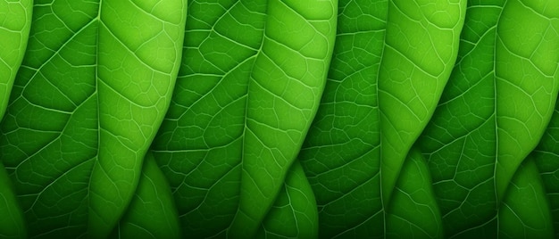 Green leaves background Generative AI