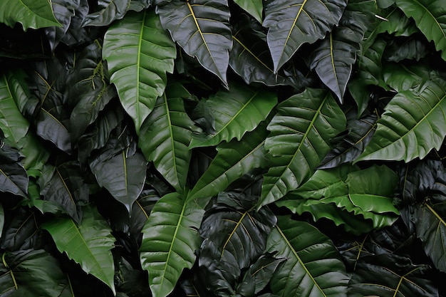 Photo green leaves background tropical leaves texture green leaves background