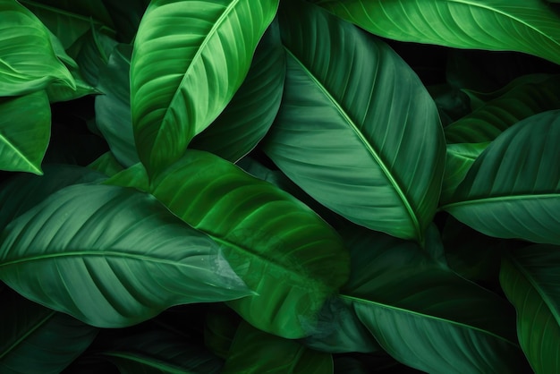 Photo green leaves background
