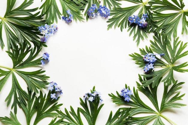 Green leaves and blue flowers on white