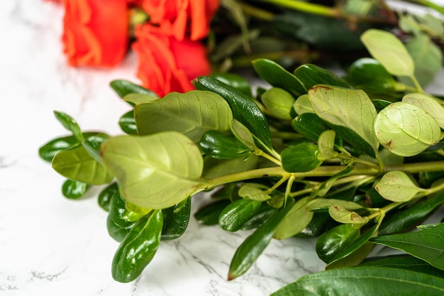 Green leaves for bouquet arrangement on marble background.