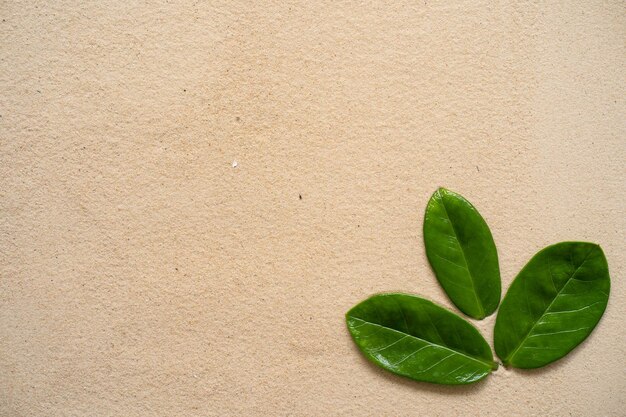 Green leaves on a brown background