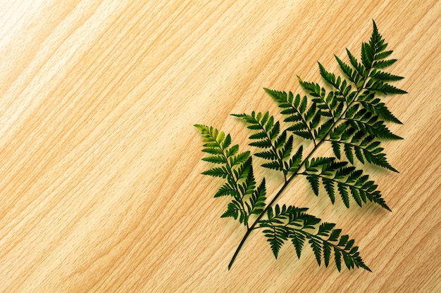 Green leaves over brown wooden table