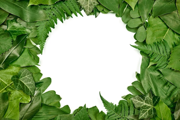 Green leaves circle frame with white empty copy space in center flat lay top view