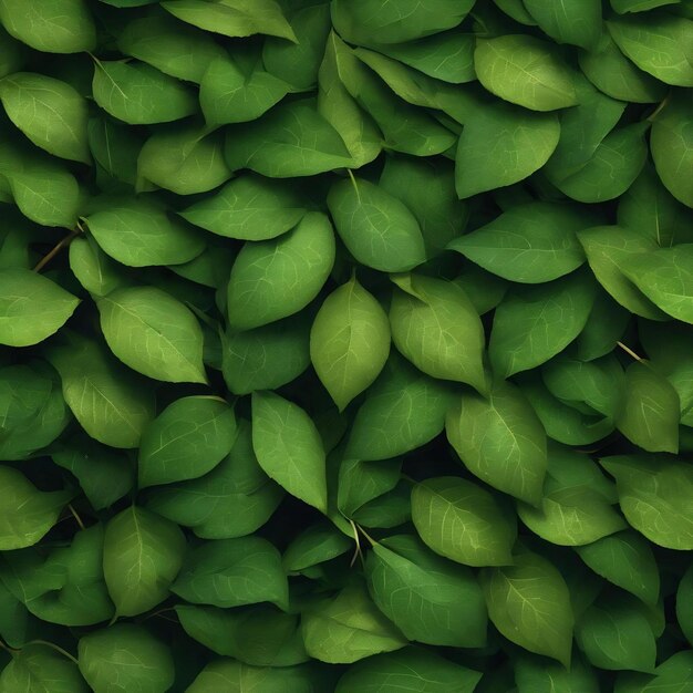 Green leaves dark nature background