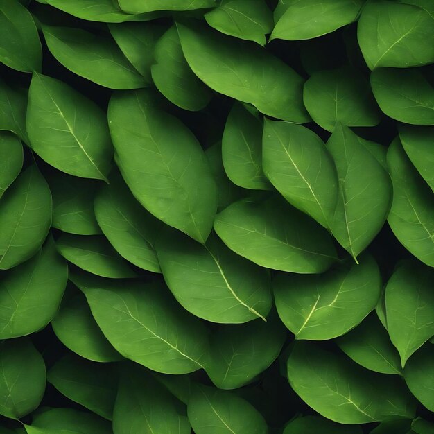 Green leaves dark nature background