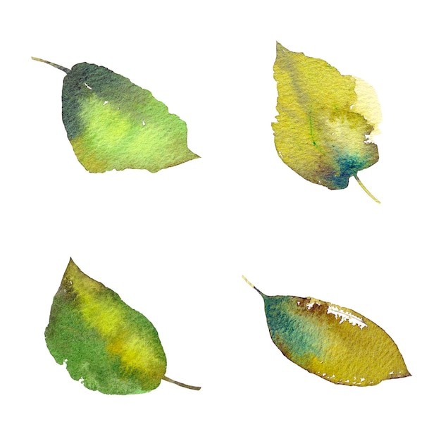 Green leaves Decoration set Watercolor leaf painting Leaves bundle for eco style card decor