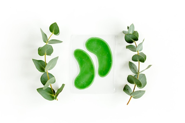 Зеленые листья эвкалипта на белом фоне