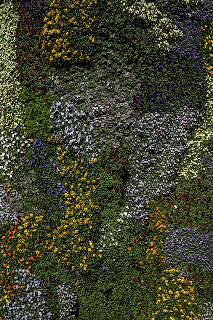 Foto foglie verdi e fiori sullo sfondo della parete