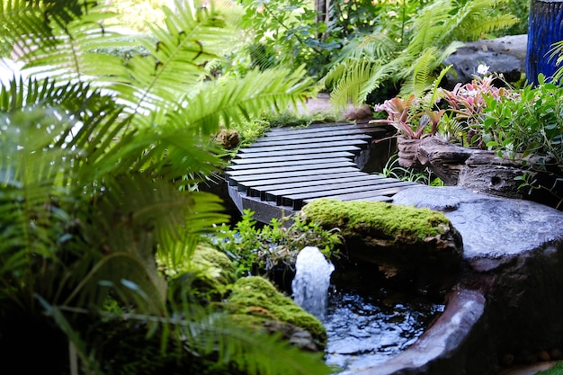 ガーデンパークで飾る緑の葉の観葉植物