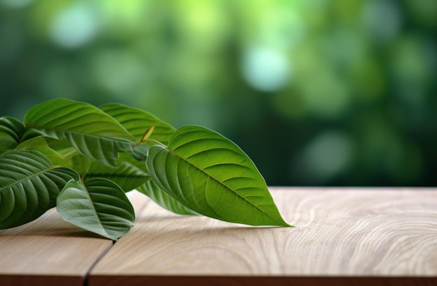 green leaves in the foreground