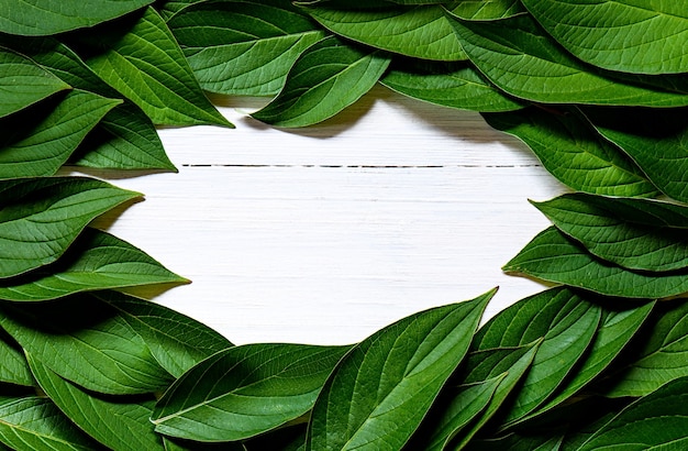 Green leaves frame on white wooden background. Nature background layout design concept. Flat lay.Top view.