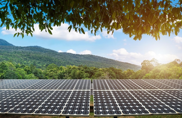 Green leaves frame with photovoltaic solar power panel at landscape lake views nature forest Mountain and view spring blue sky background green clean Alternative power Eco energy concept