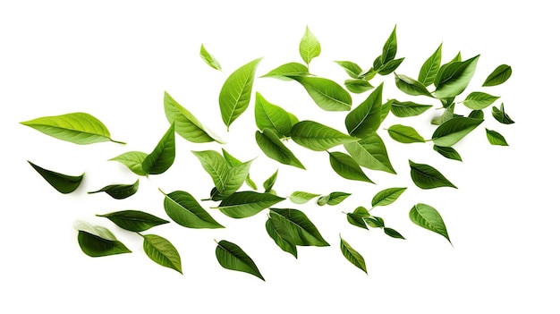 Зеленые листья Зеленые плавающие листья Летящие листья Зелёный лист Танцующий очиститель воздуха Атмосфера Простая Главная картинка изолирована на белом фоне Природа зеленого листа Генеративная Ай