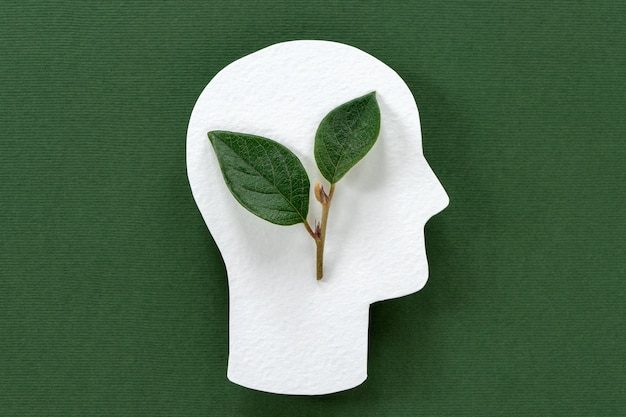 Green leaves inside head, sustainable living, think ecology