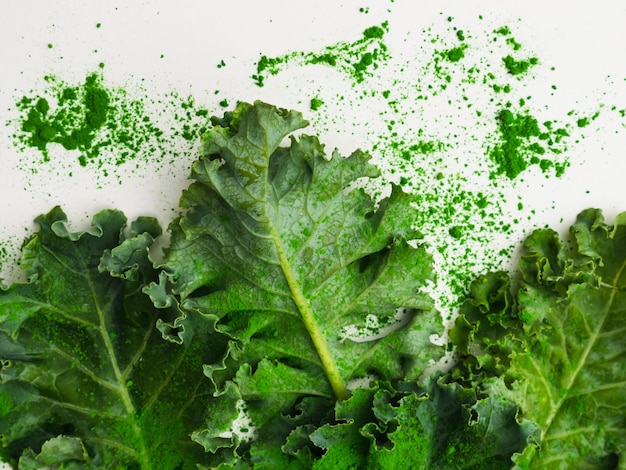 Green leaves of kale and kale powder on white background