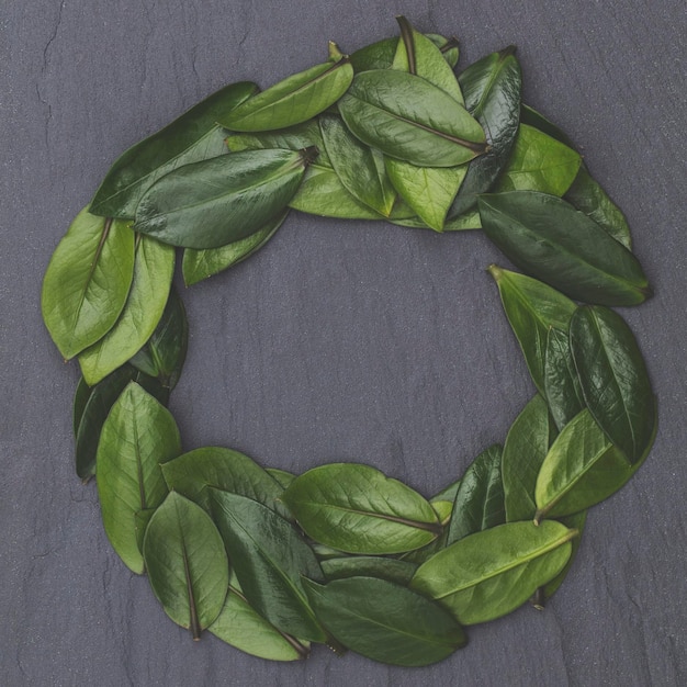 Green leaves laid out on a slate background Nature concept