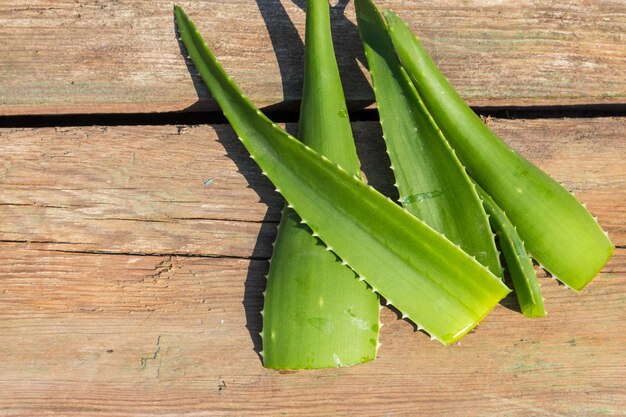 素朴な木製の背景にアロエベラ植物の緑の葉