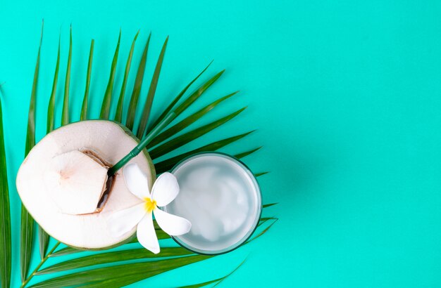 Photo green leaves palm and fresh coconut