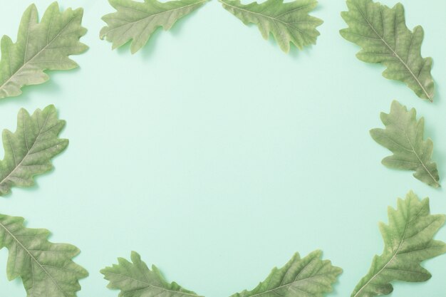 Green leaves on paper background