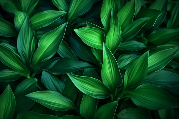 Foto fondo del modello delle foglie verdi sfondo naturale e carta da parati ai generato