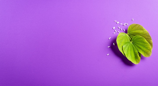 Photo green leaves and rice on purple surface